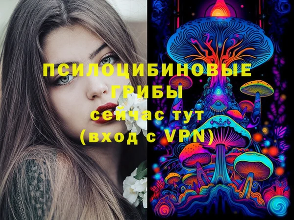 спиды Аркадак