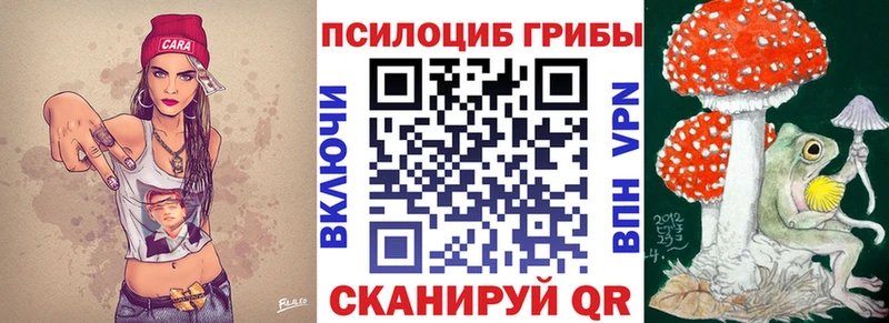 Псилоцибиновые грибы Cubensis  сколько стоит  Избербаш 